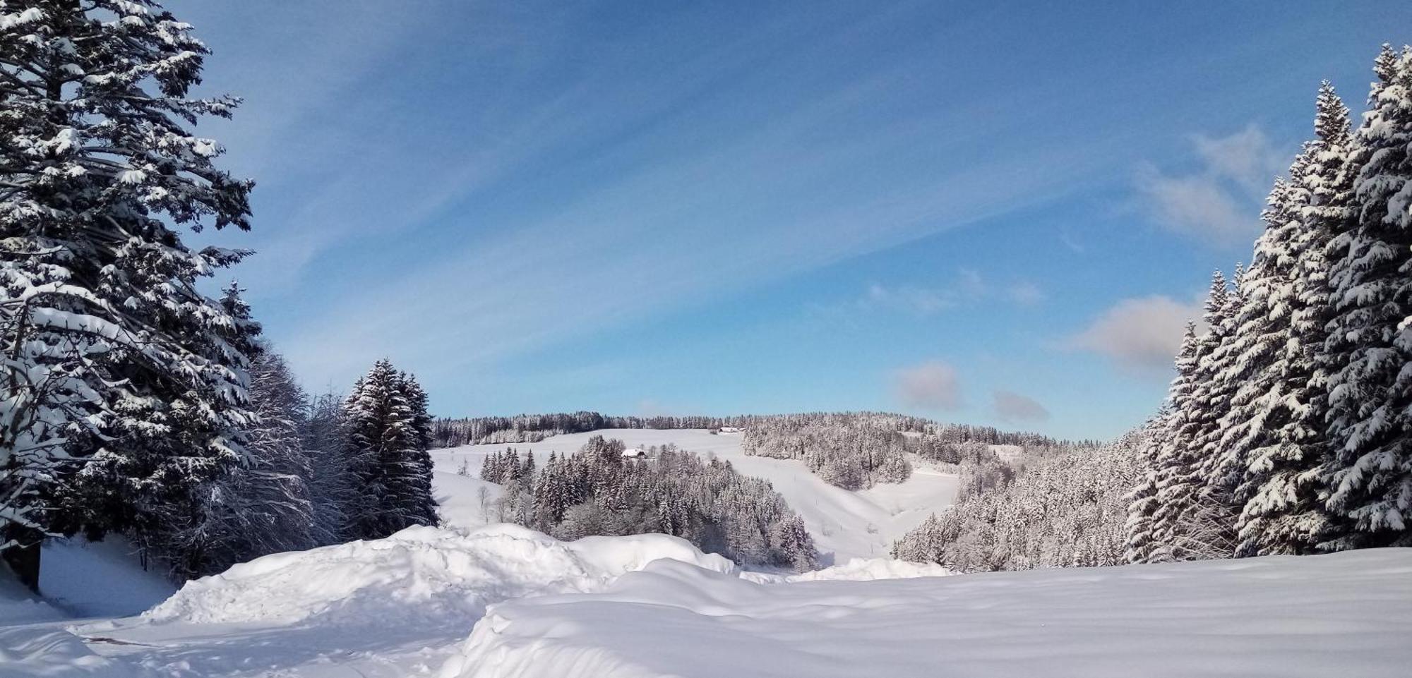 Schreinerhaeusle Naehe Titisee Himmelreich Екстериор снимка