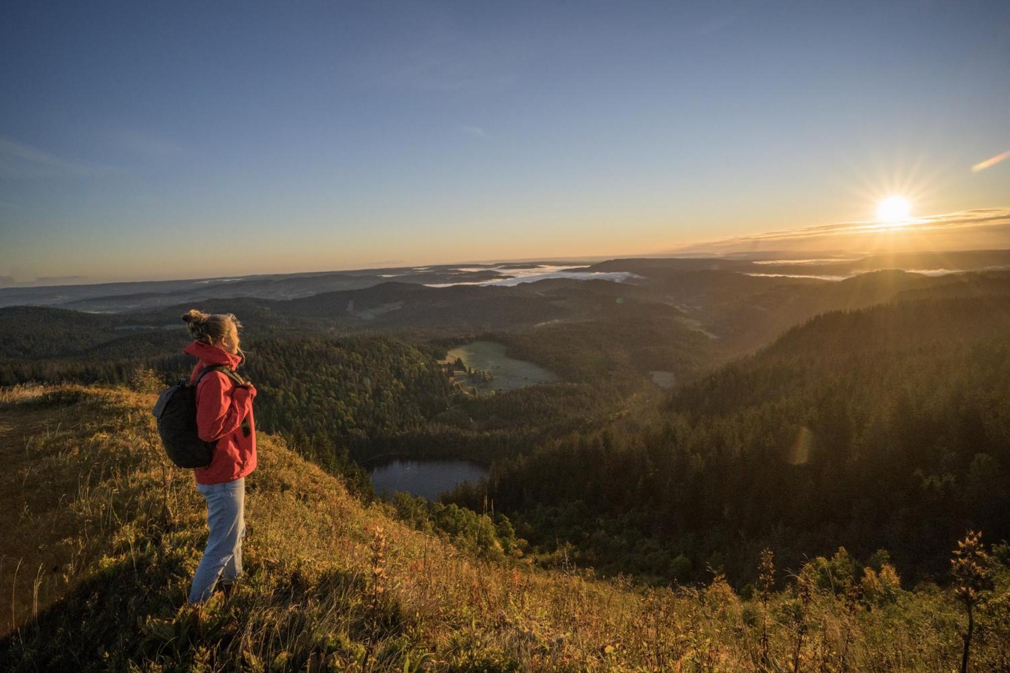 Schreinerhaeusle Naehe Titisee Himmelreich Екстериор снимка