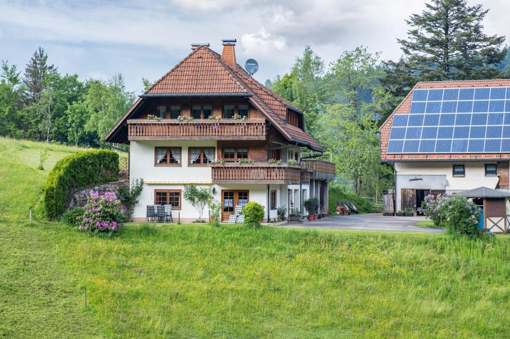 Schreinerhaeusle Naehe Titisee Himmelreich Екстериор снимка