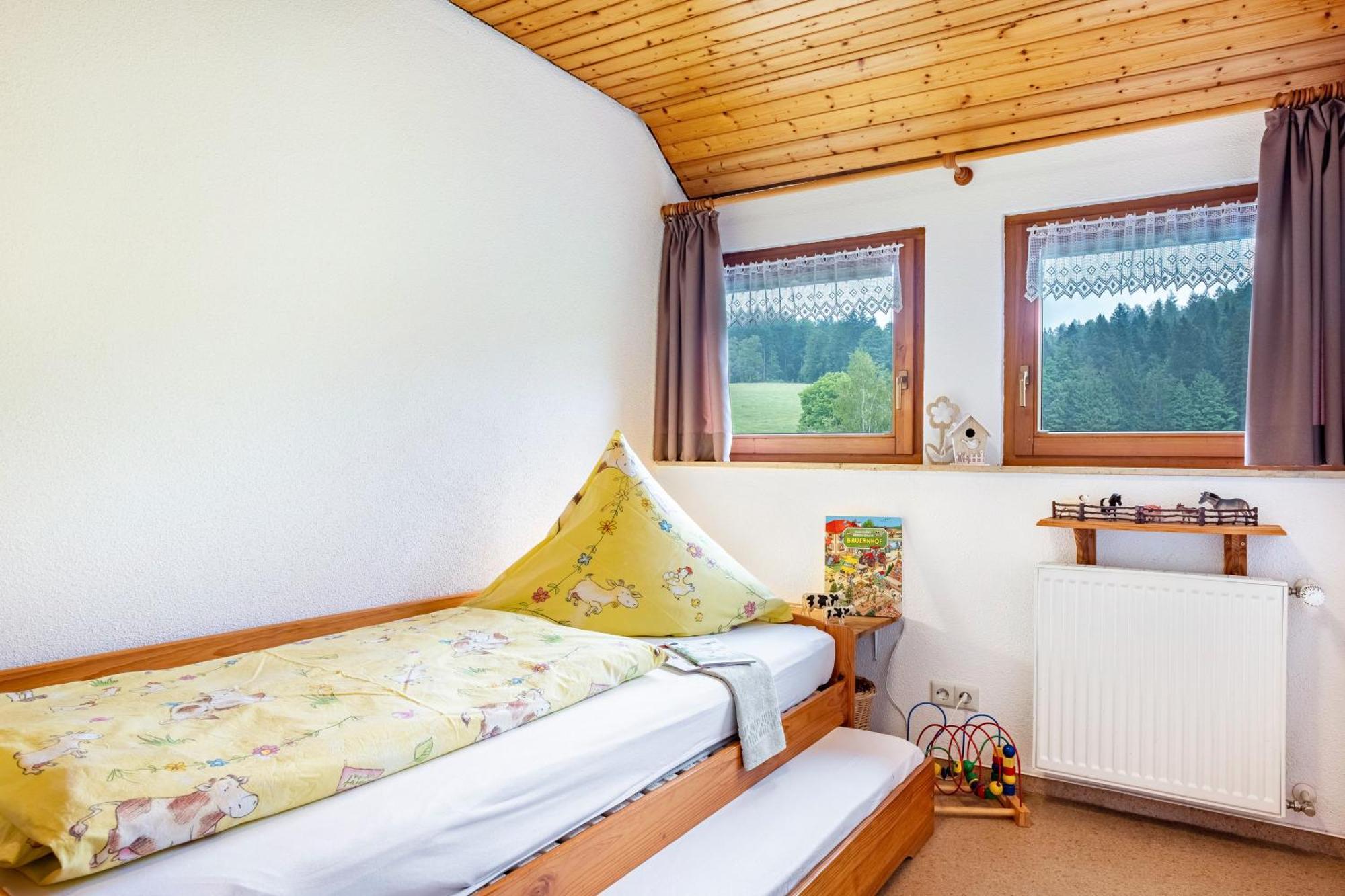 Schreinerhaeusle Naehe Titisee Himmelreich Екстериор снимка