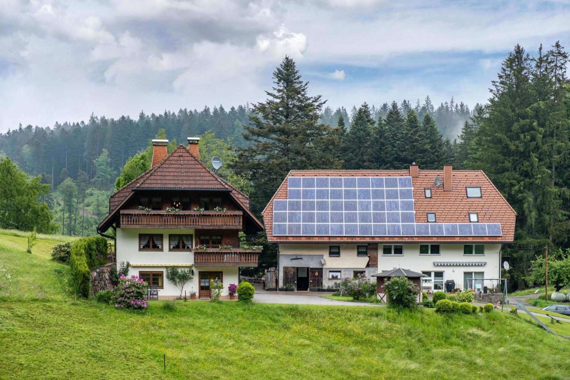 Schreinerhaeusle Naehe Titisee Himmelreich Екстериор снимка