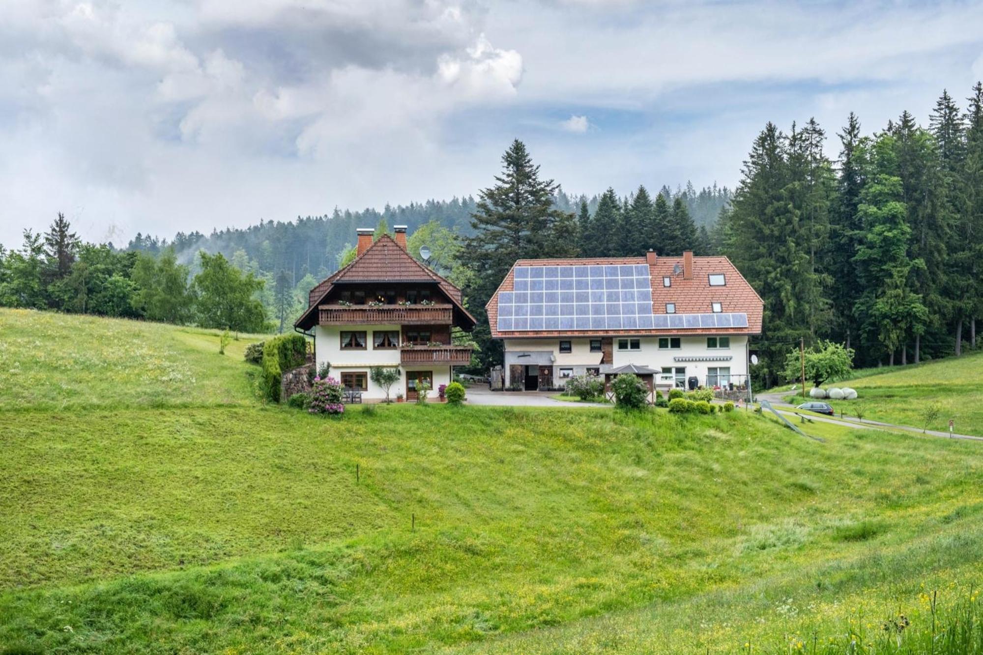 Schreinerhaeusle Naehe Titisee Himmelreich Екстериор снимка