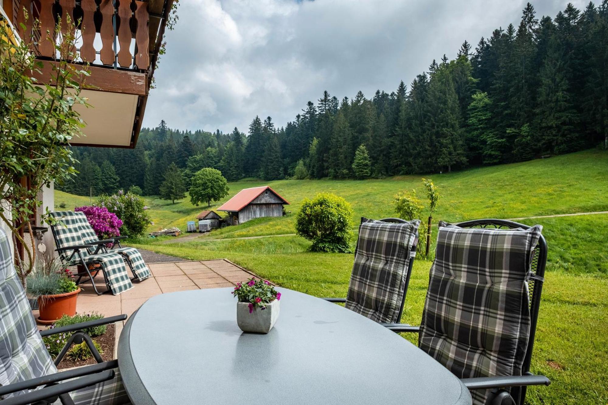 Schreinerhaeusle Naehe Titisee Himmelreich Екстериор снимка
