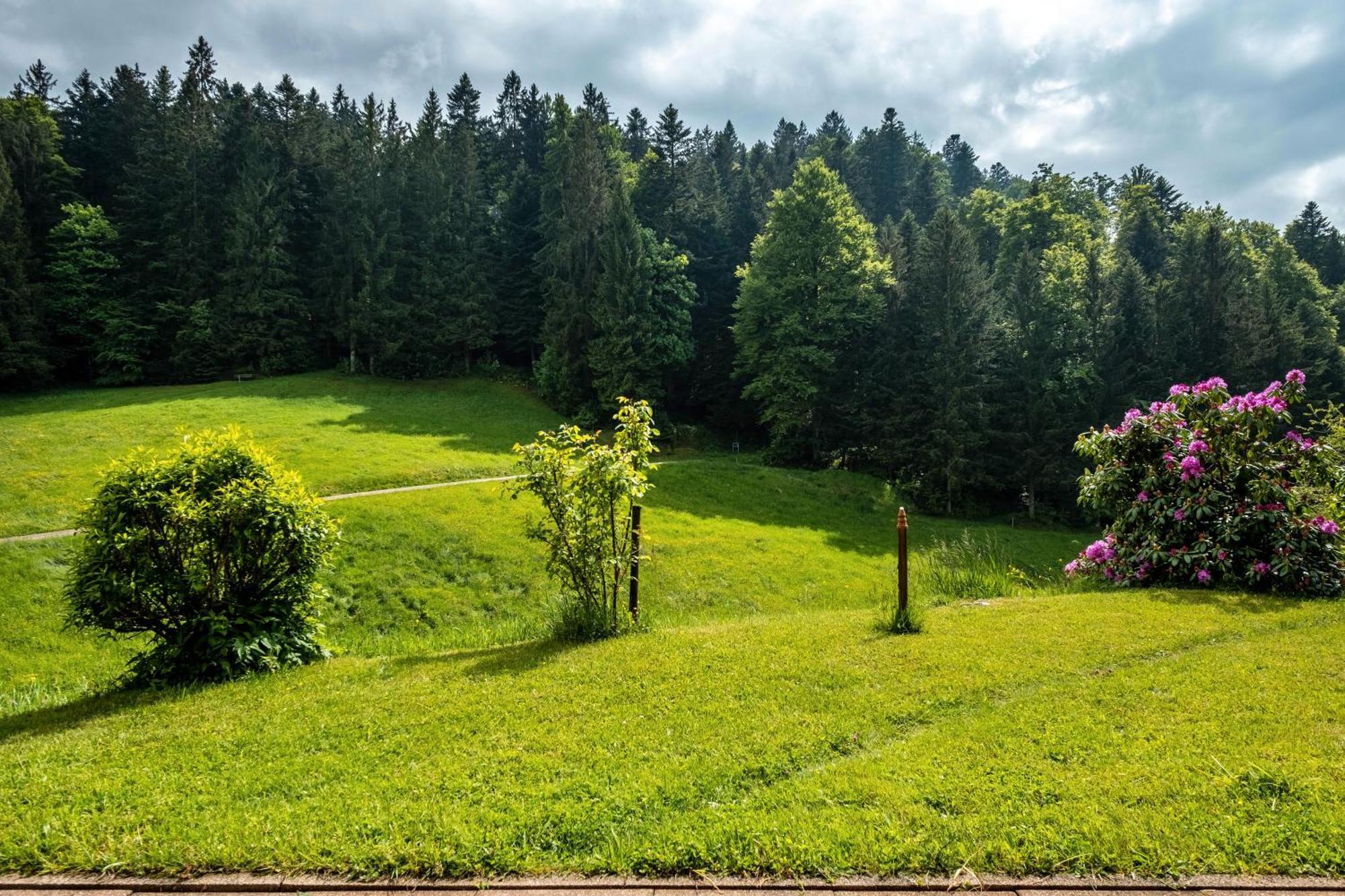 Schreinerhaeusle Naehe Titisee Himmelreich Екстериор снимка