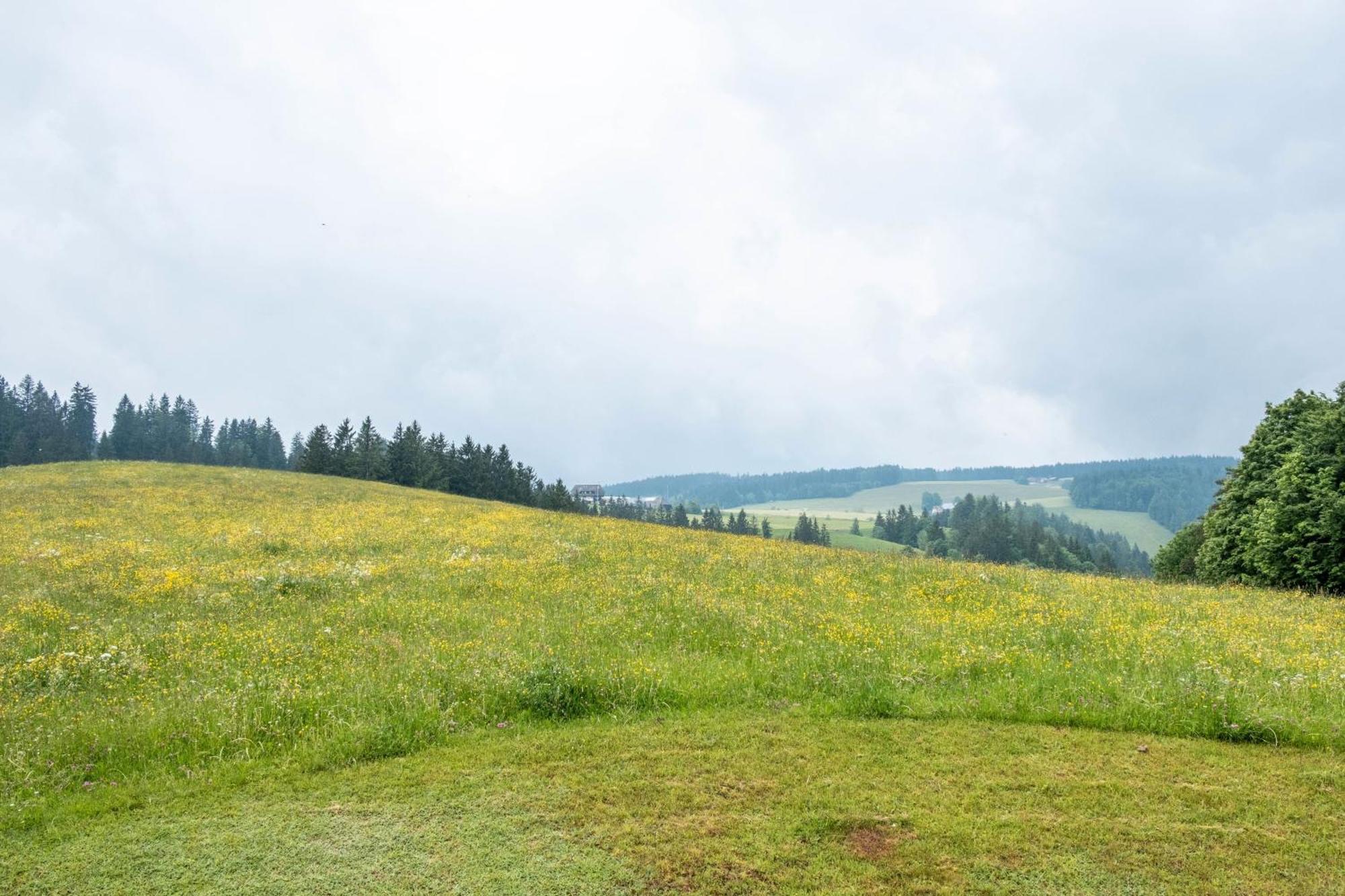 Schreinerhaeusle Naehe Titisee Himmelreich Екстериор снимка