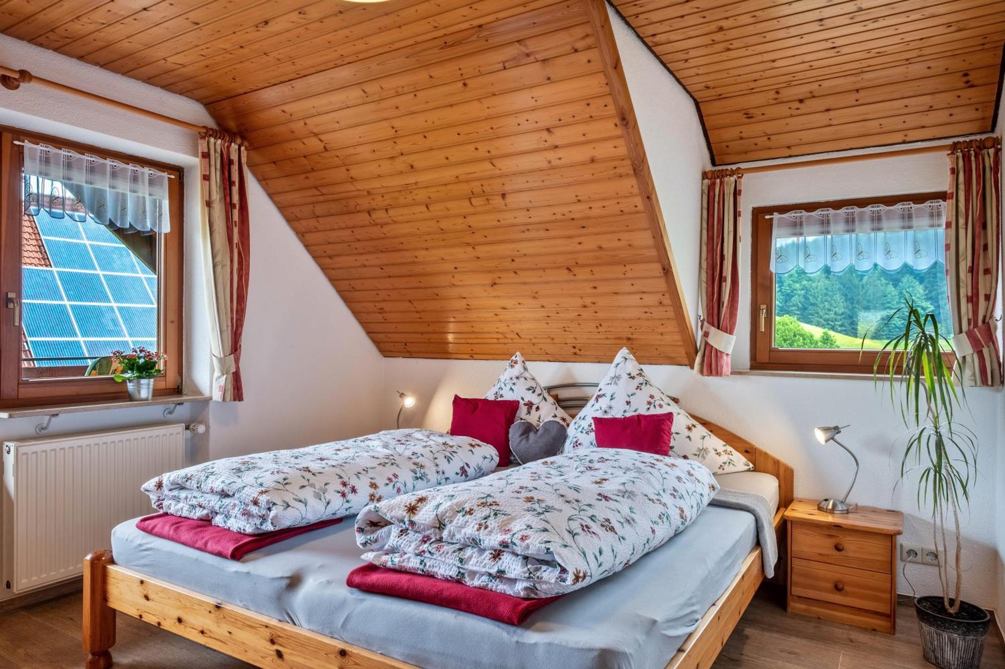 Schreinerhaeusle Naehe Titisee Himmelreich Екстериор снимка